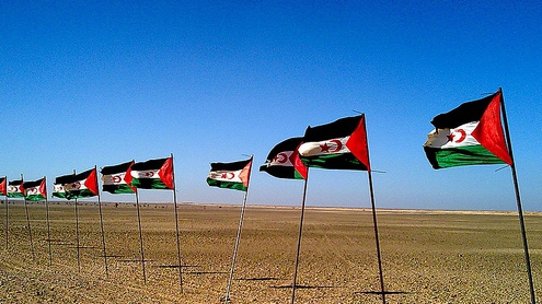 sahara_occidental_drapeaux jpg